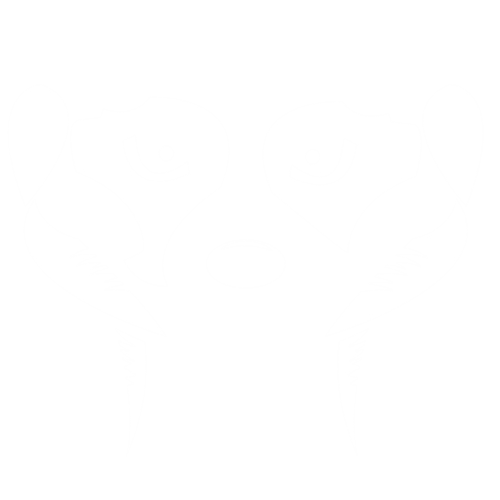 Surikato